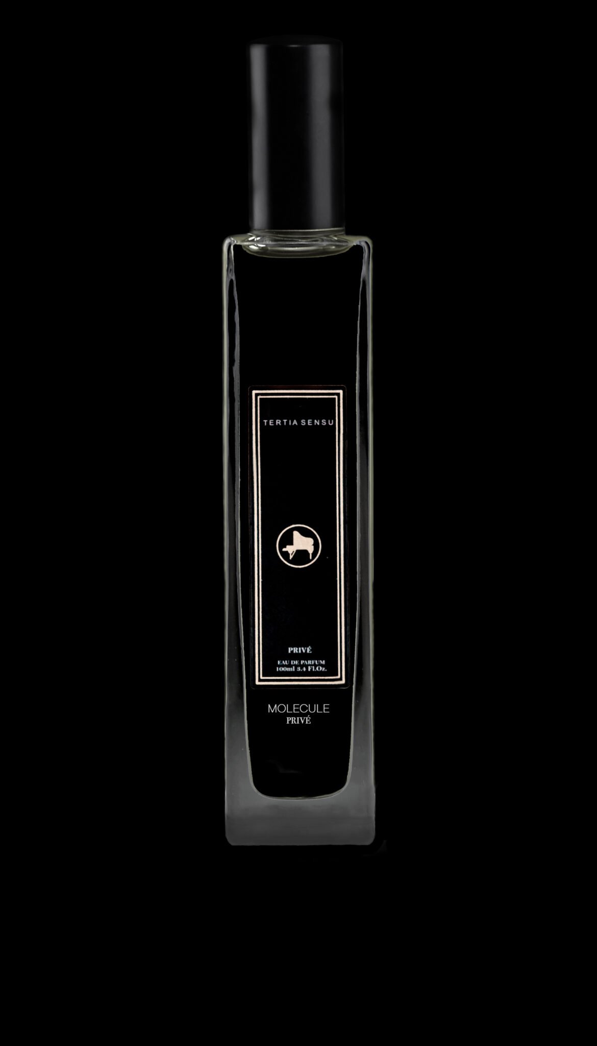 MOLECULE 01