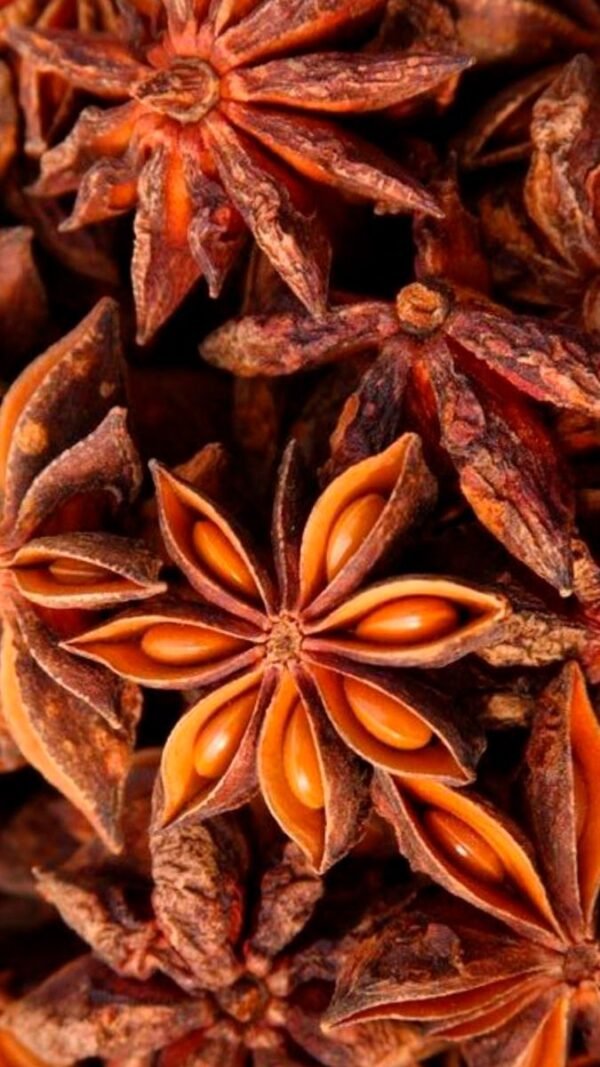 Anis Estrellado