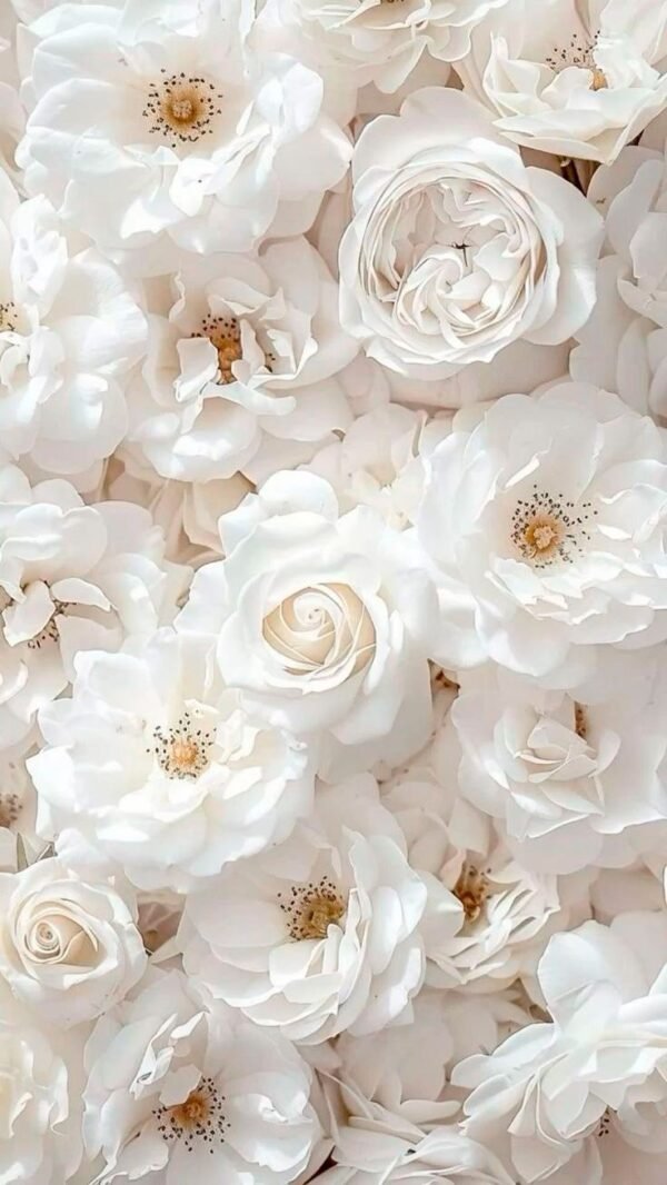 Flores Blancas