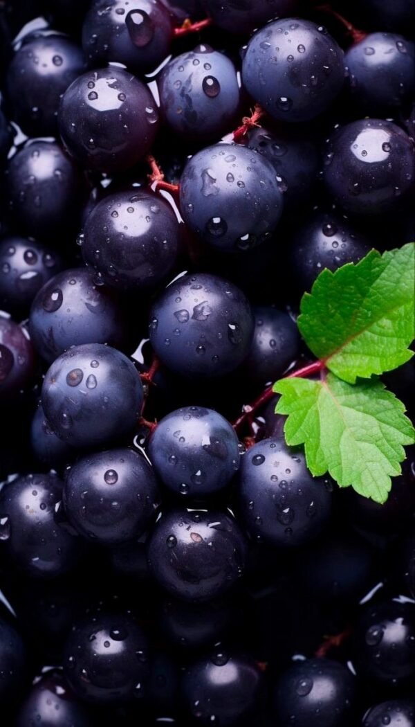 Grosellas Negras