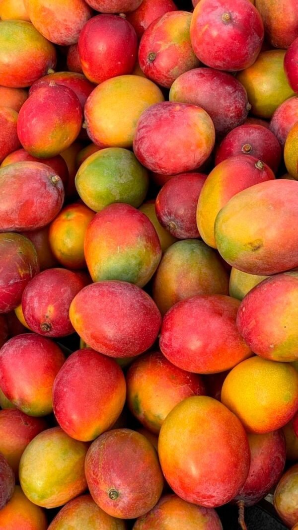 Mango